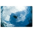 thumbnail image 1 of Wynwood Studio Animals Wall Art Canvas Prints 'Green Sea Turtle From Below by David Fleetham' Sea Animals - Blue, Black, 1 of 5