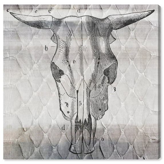 Wynwood Studio Animals Wall Art Canvas Prints 'Ox Due' Farm Animals - Gray, White