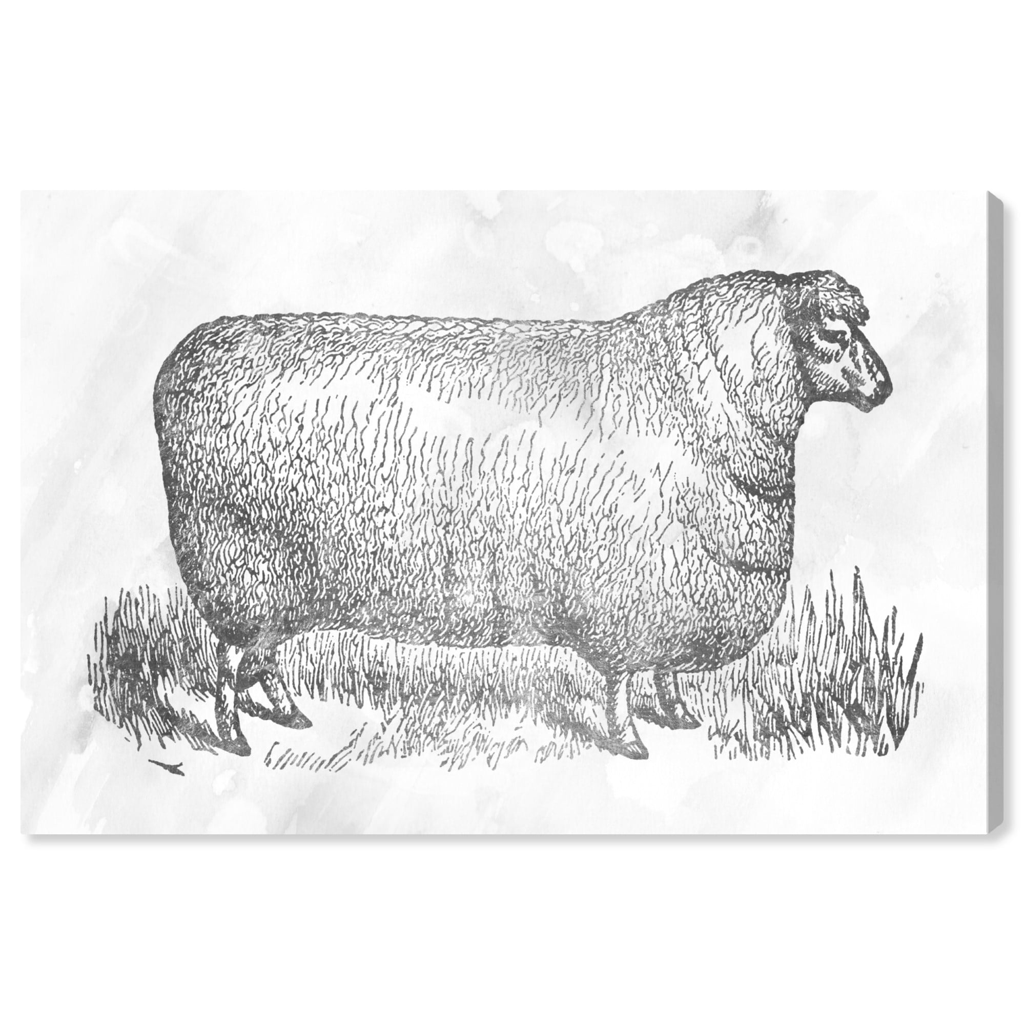Wynwood Studio Animals Wall Art Canvas Prints 'Sheep in Silver' Farm