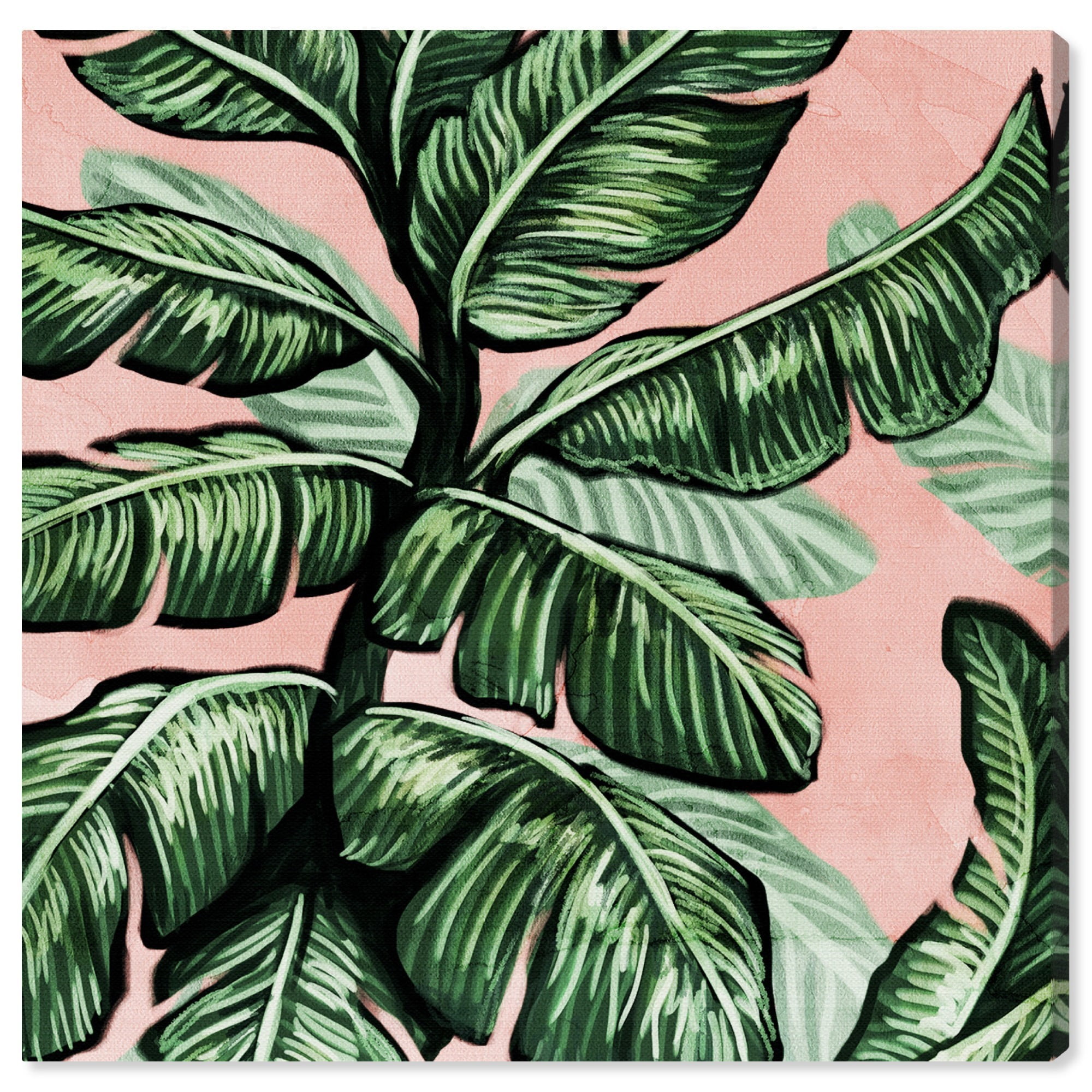 Wynwood Studio 'Blush Toned Leaves Square' Floral and Botanical Wall Art Canvas Print - Green, Pink, 20" x 20"