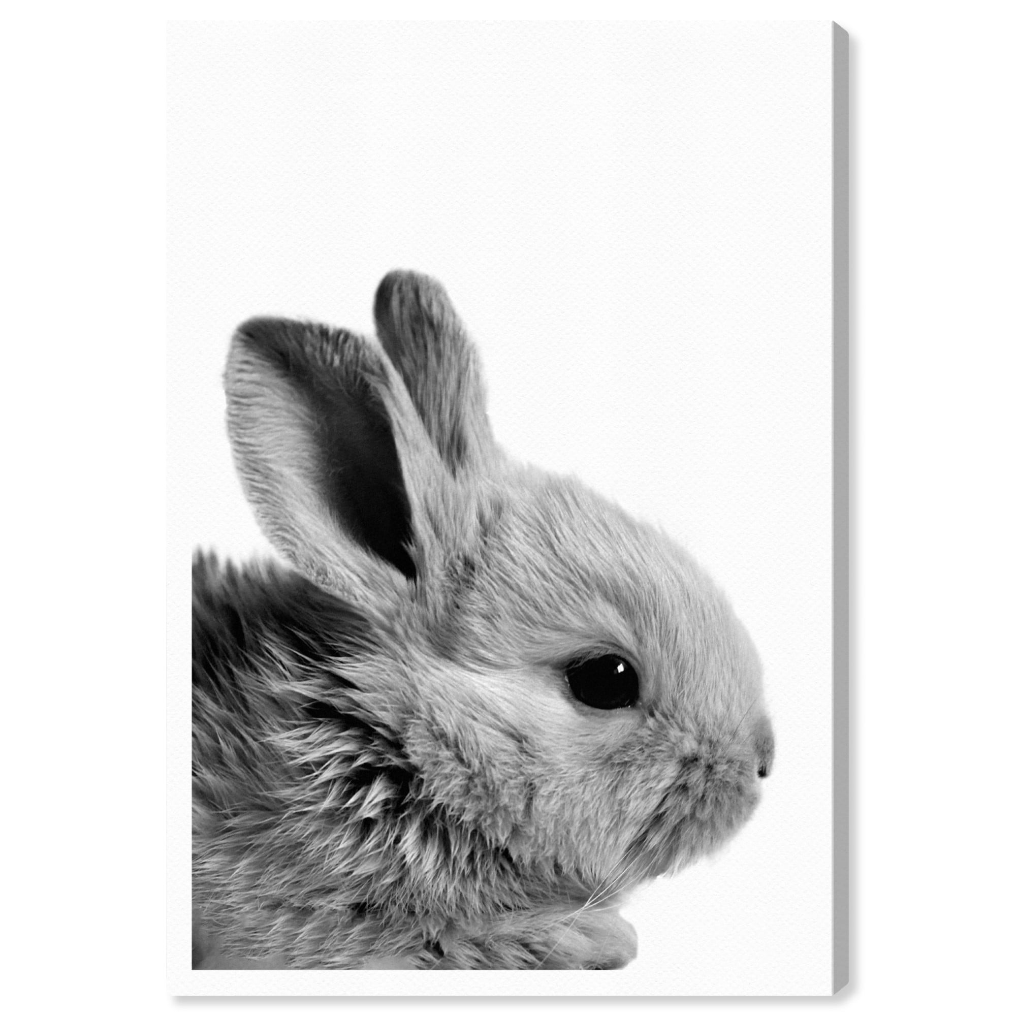 Wynwood Studio 'Bunny Ears' Animals Wall Art Canvas Print - Gray, White, 16" x 24"