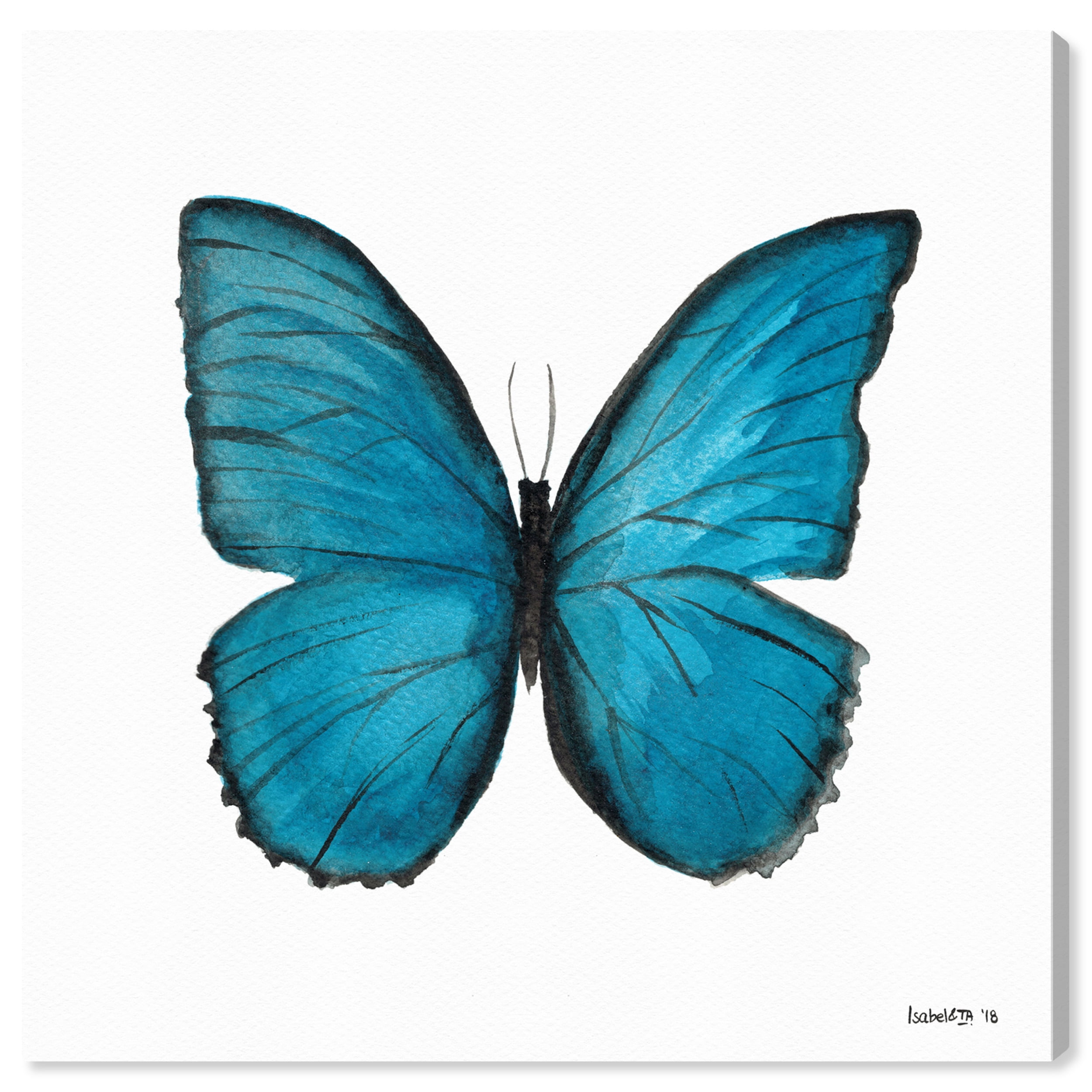 Wynwood Studio Canvas Blue Butterfly Animals Insects Wall Art Canvas Print Blue Turquoise 12x12
