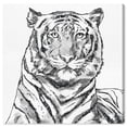 thumbnail image 1 of Wynwood Studio Canvas Glitter Stripes Tiger Black Animals Felines Wall Art Canvas Print White Silver 30x30, 1 of 3