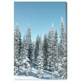 thumbnail image 1 of Wynwood Studio Canvas Its Cold Floral and Botanical Trees Wall Art Canvas Print Blue 20x30, 1 of 3