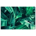 thumbnail image 1 of Wynwood Studio Canvas Lush Leaves Floral and Botanical Botanicals Wall Art Canvas Print Green 24x16, 1 of 3