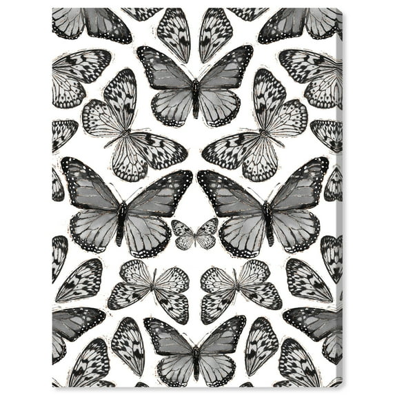 Wynwood Studio Canvas Monarch Mirrors Animals Insects Wall Art Canvas Print Black 20x30