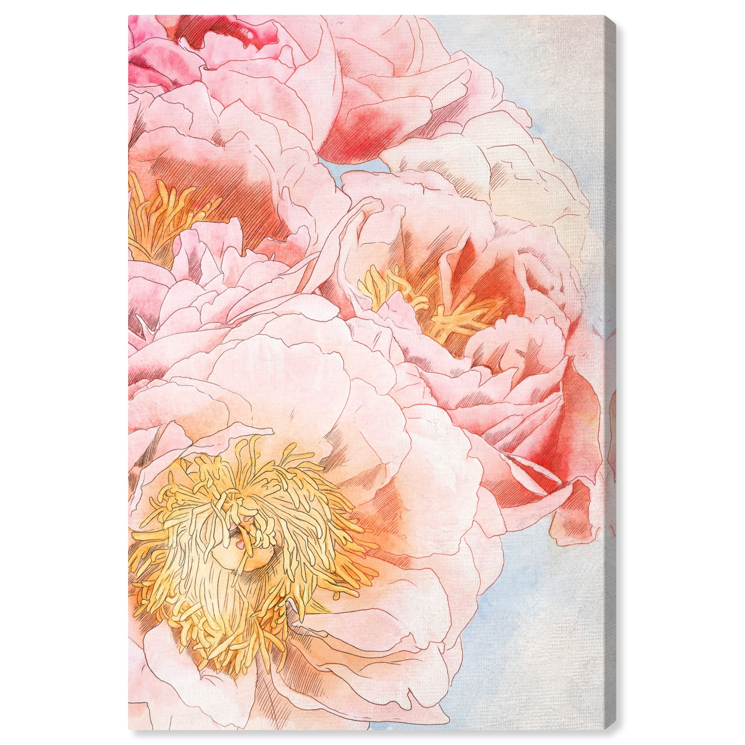 Wynwood Studio Canvas Peonie Flourish Floral and Botanical Florals Wall Art Canvas Print Pink Light Pink 16x24