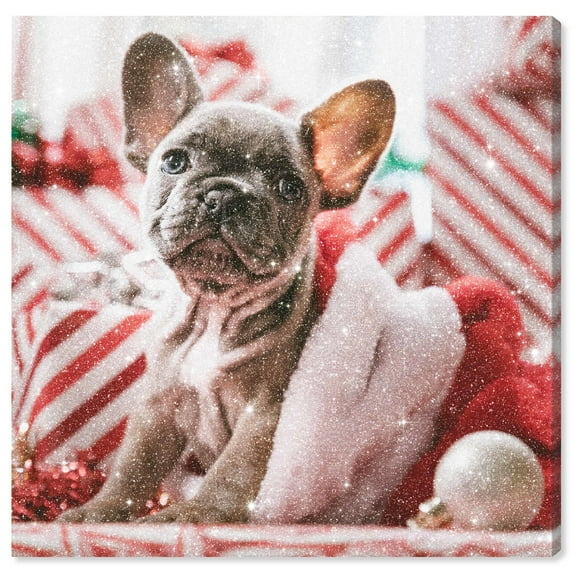 Wynwood Studio Canvas Puppy Christmas Morning Holiday and Seasonal Holidays Wall Art Canvas Print White 30x30