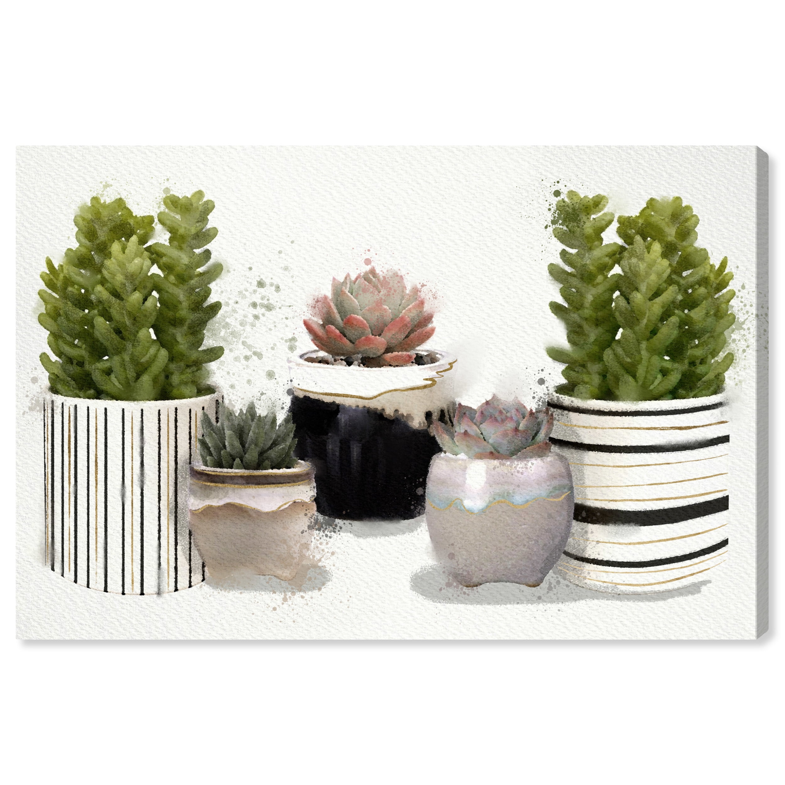 Green and Beige Succulent Botanical Canvas Wall Art 30x20