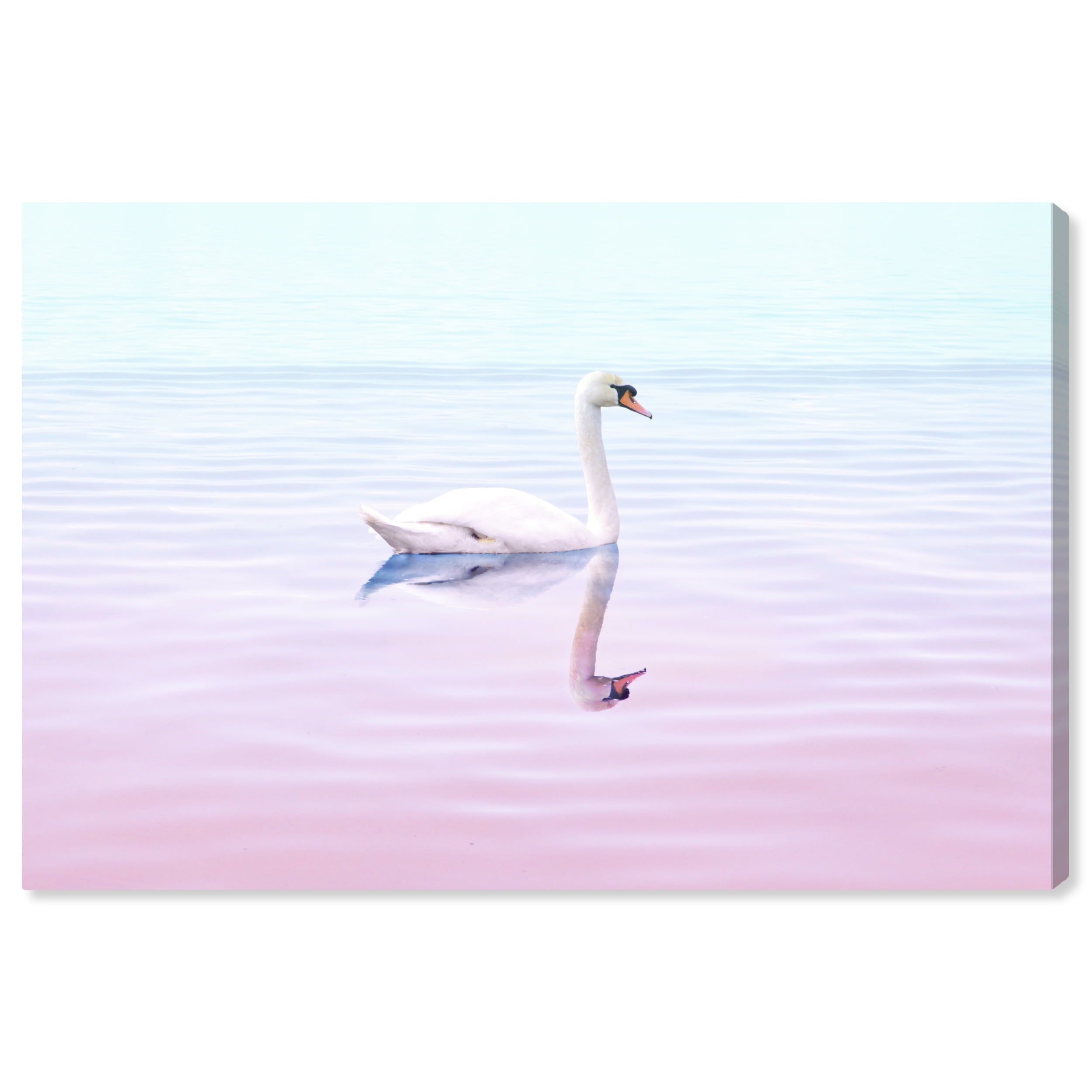 Wynwood Studio Canvas Swan Reflected in Pastel Colors Animals Birds Wall Art Canvas Print Pink Light Pink 30x20