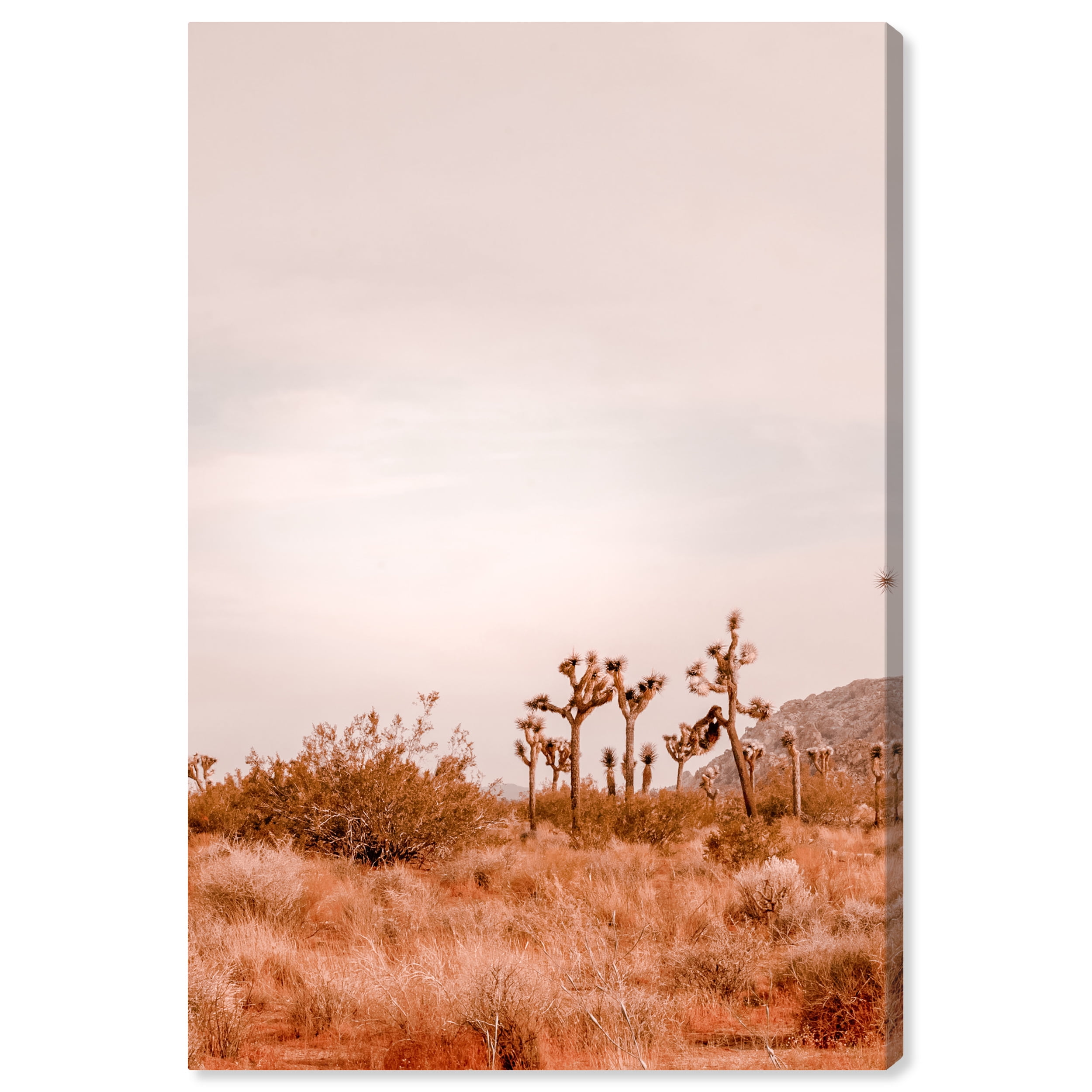 Wynwood Studio Canvas Warm Color Grassland Nature and Landscape Desert Landscapes Wall Art Canvas Print Brown Light Gray 16x24