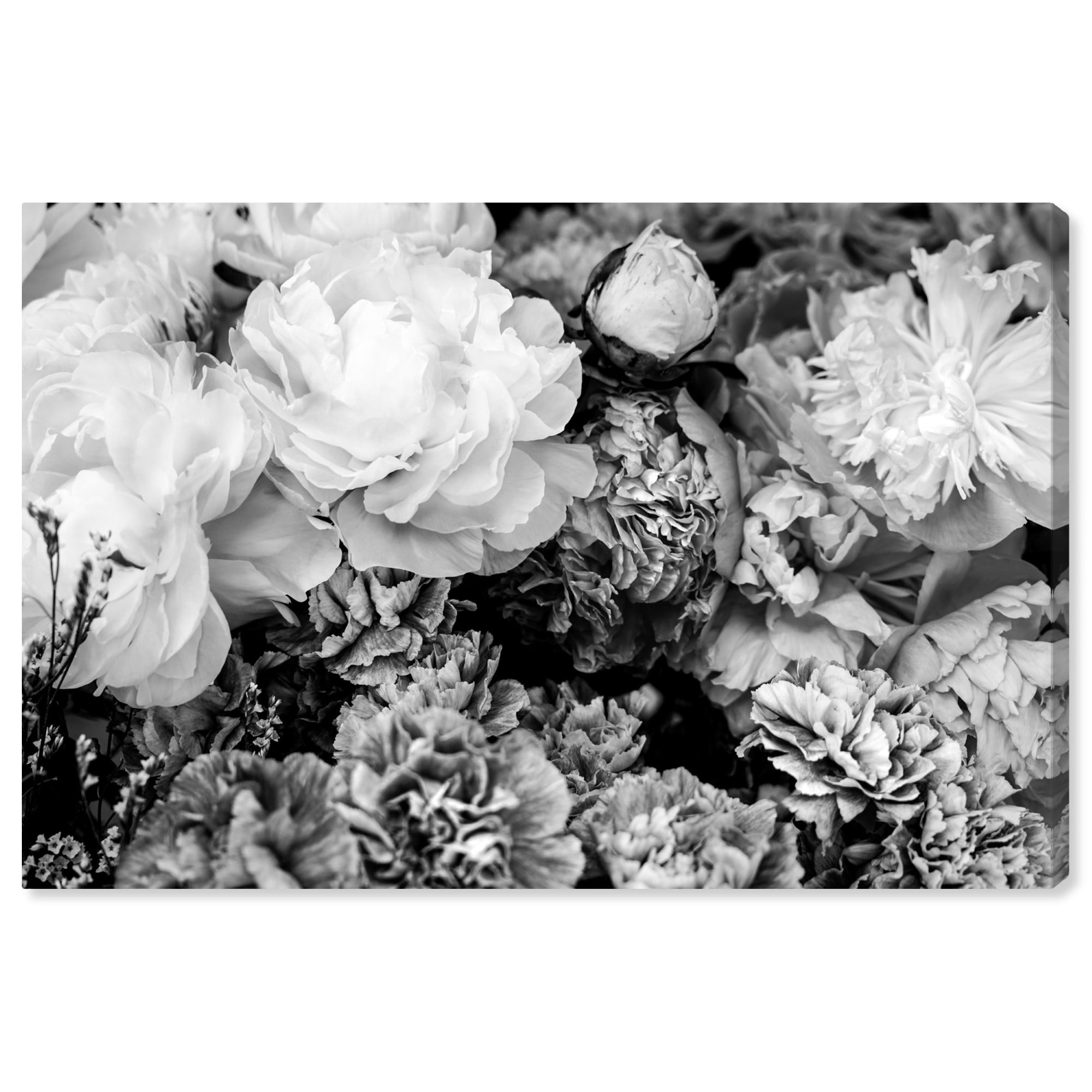 Wynwood Studio 'Dark Flora Encore' Floral and Botanical Wall Art Canvas Print - Black, White, 30" x 20"
