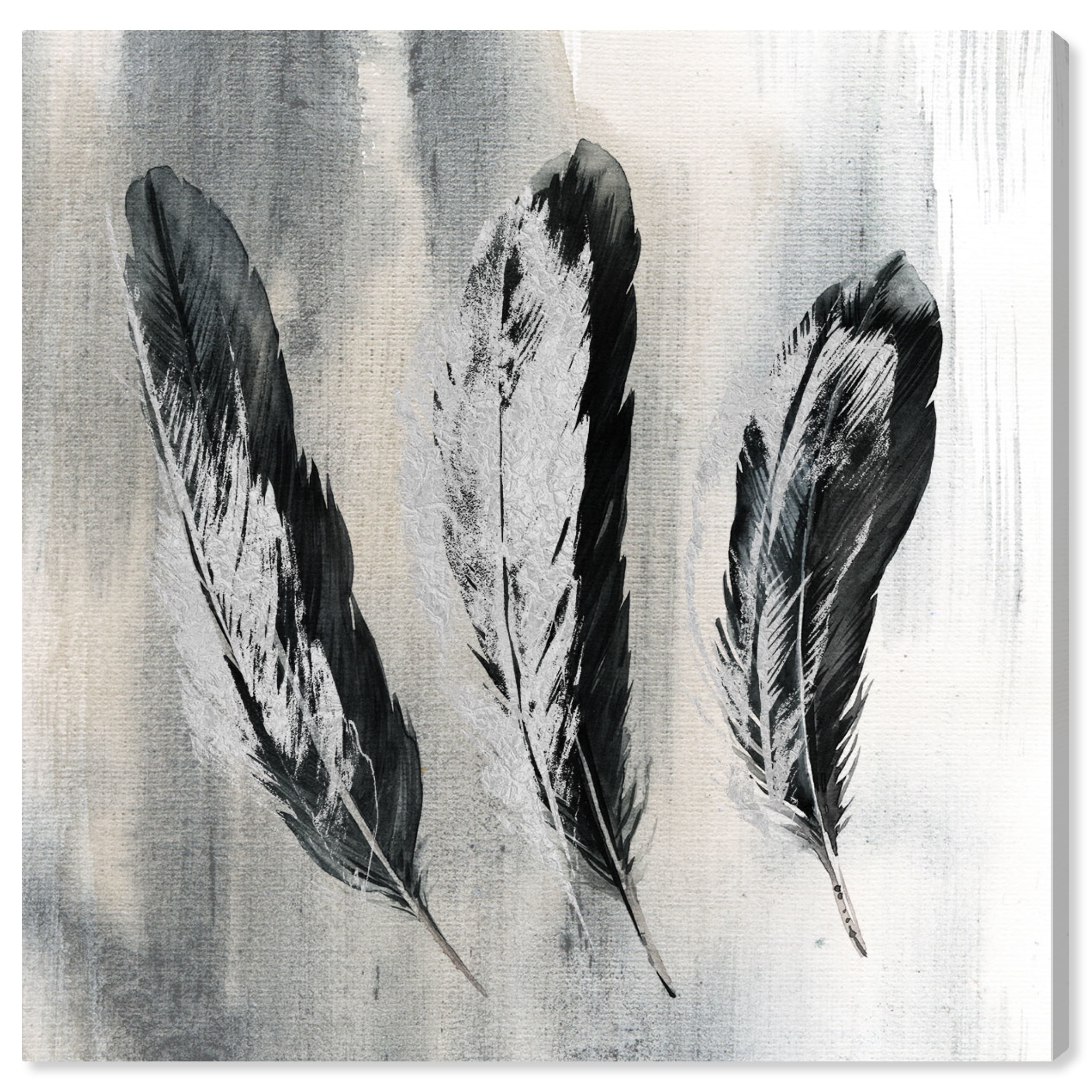 Wynwood Studio Fashion and Glam Modern Canvas Art - Minimalist Gray And Black Feathers, Wall Art for Living Room, Bedroom, and Bathroom, 20 in x 20, Black and Gray Home Decor