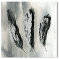 thumbnail image 1 of Wynwood Studio Fashion and Glam Modern Canvas Art - Minimalist Gray And Black Feathers, Wall Art for Living Room, Bedroom, and Bathroom, 20 in x 20, Black and Gray Home Decor, 1 of 5