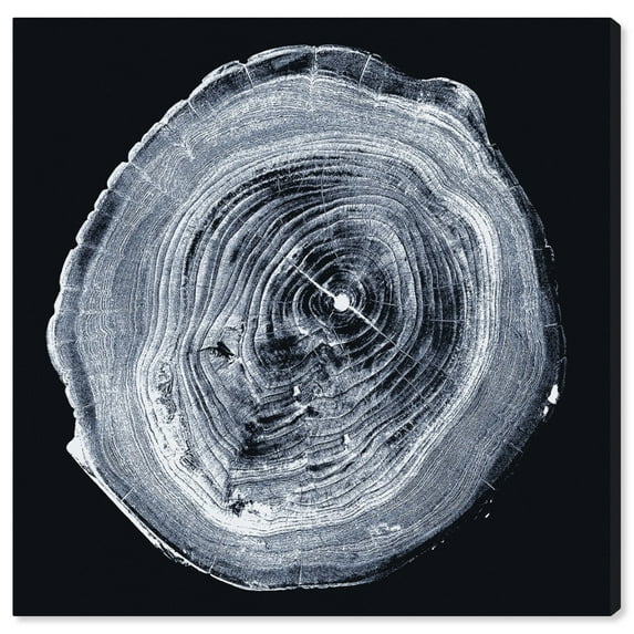 Wynwood Studio Floral and Botanical Modern Canvas Art - Black And White Legno X-Ray, Wall Art for Living Room, Bedroom, and Bathroom, 30 in x 30, Black and White Home Decor