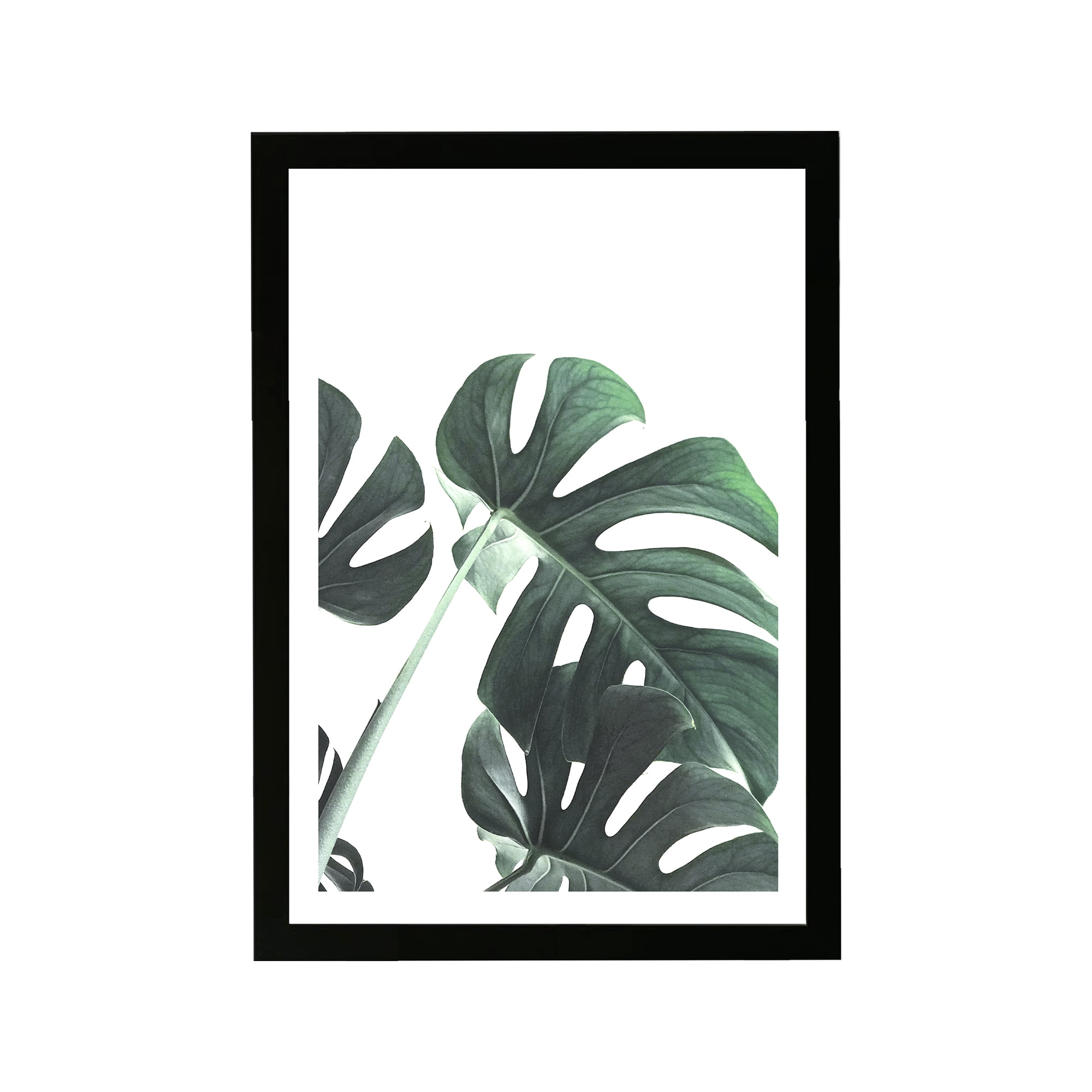 Green and White Botanical Print in Black Frame, 13" x 19"
