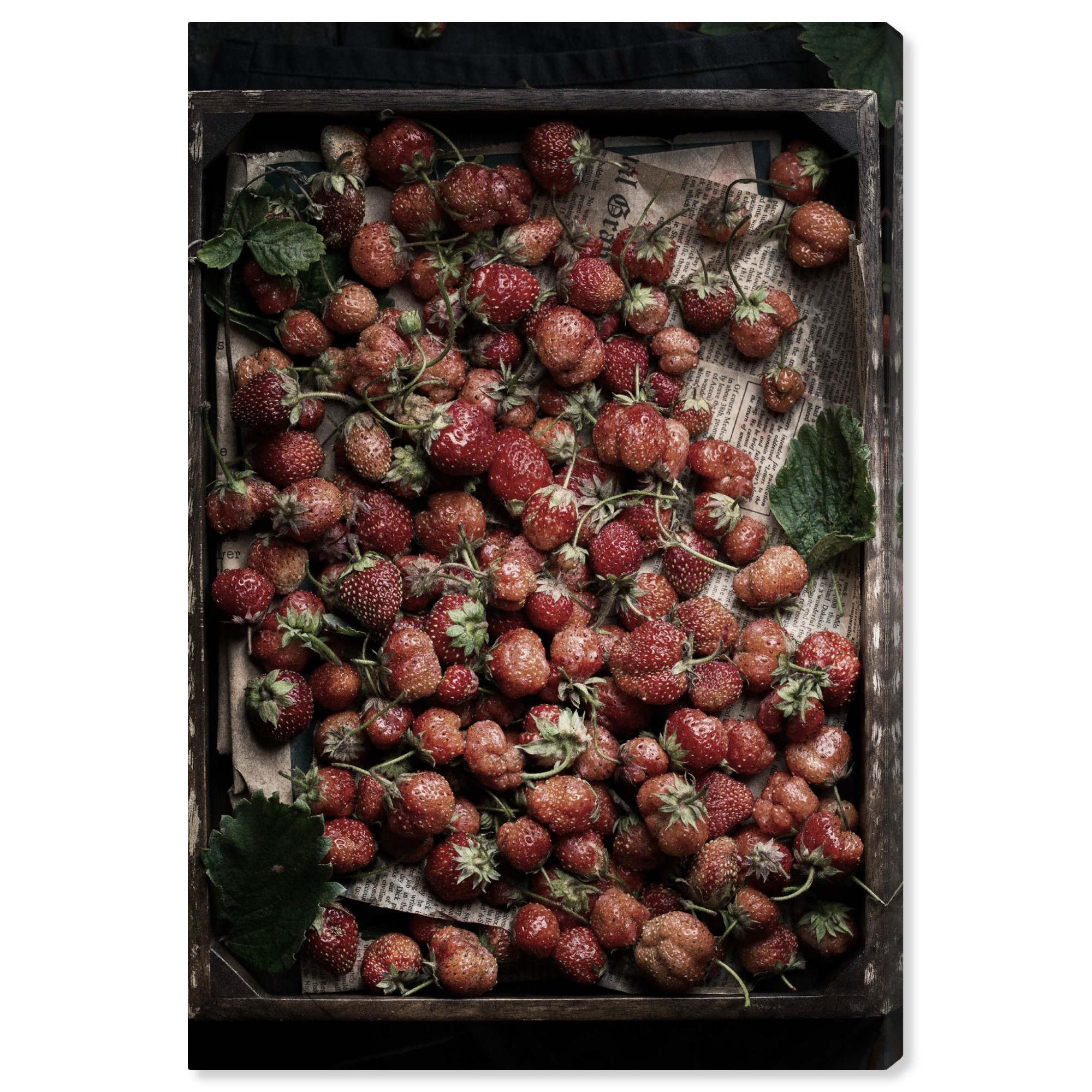 Wynwood Studio Food and Cuisine Wall Art Print 'Box of Berries' Fruits
