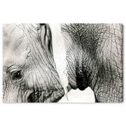 Wynwood Studio 'Gentle Giant' Animals Wall Art Canvas Print - Black, White, 30" x 20"