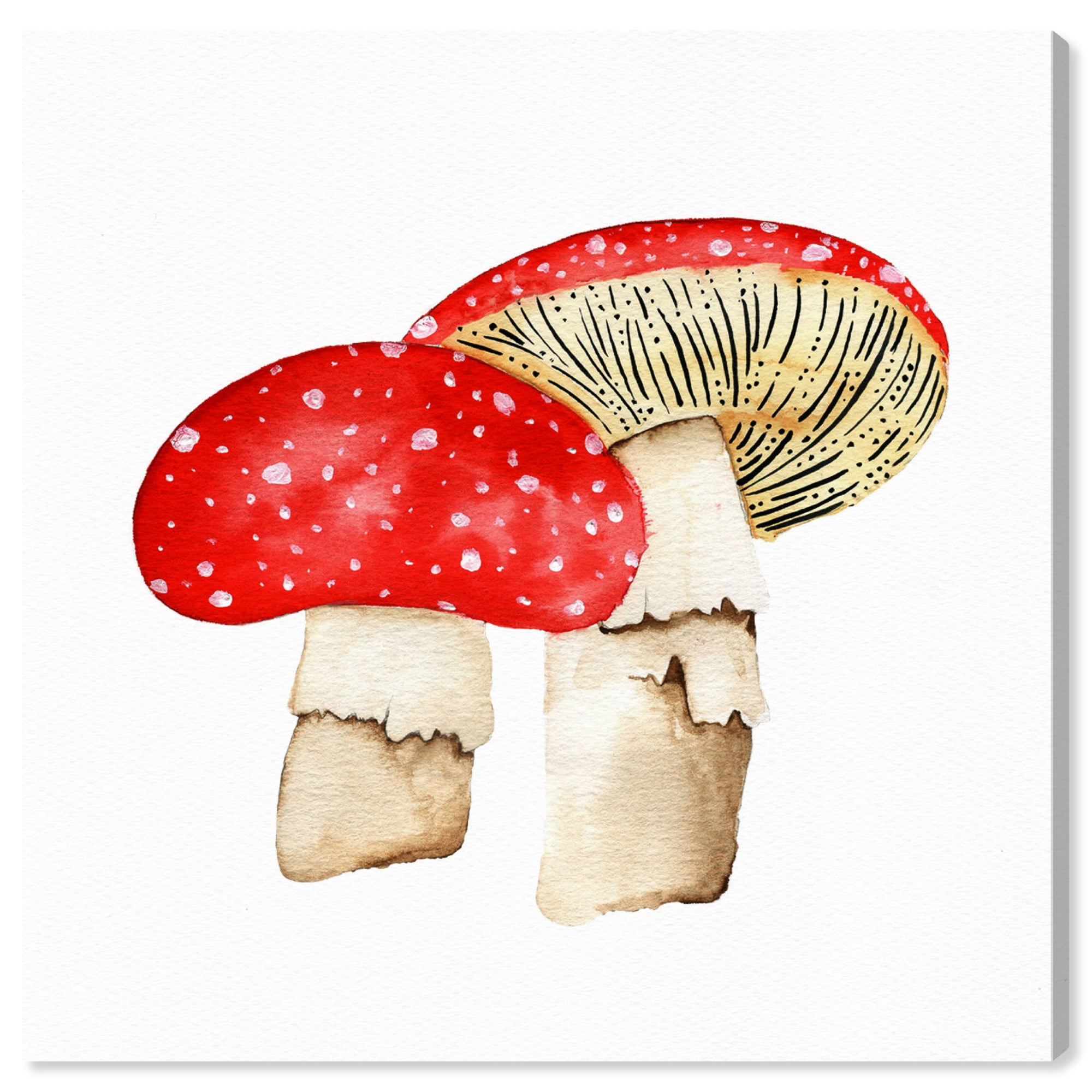 Wynwood Studio 'Mushrooms ' Food and Cuisine Wall Art Canvas Print - Red, White, 12" x 12"