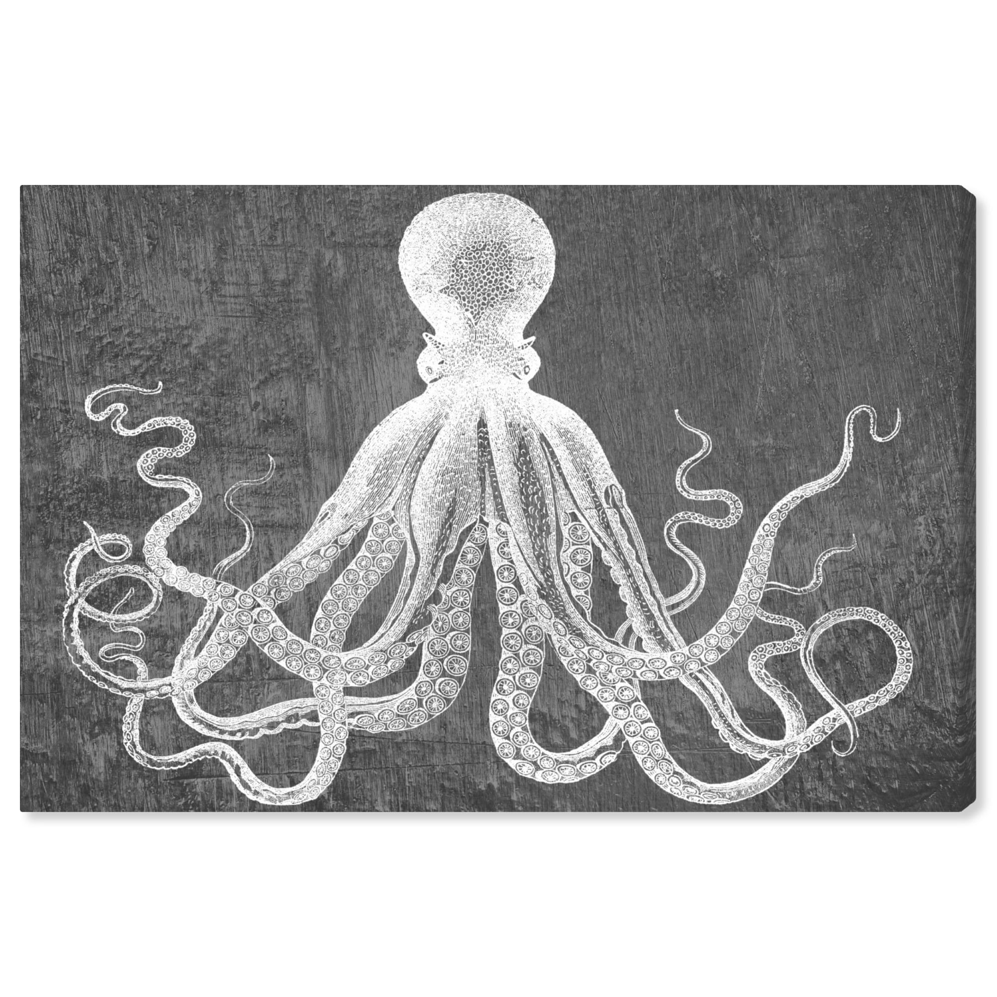 Wynwood Studio Nautical and Coastal Wall Art Canvas Prints 'Master of the Sea' Marine Life