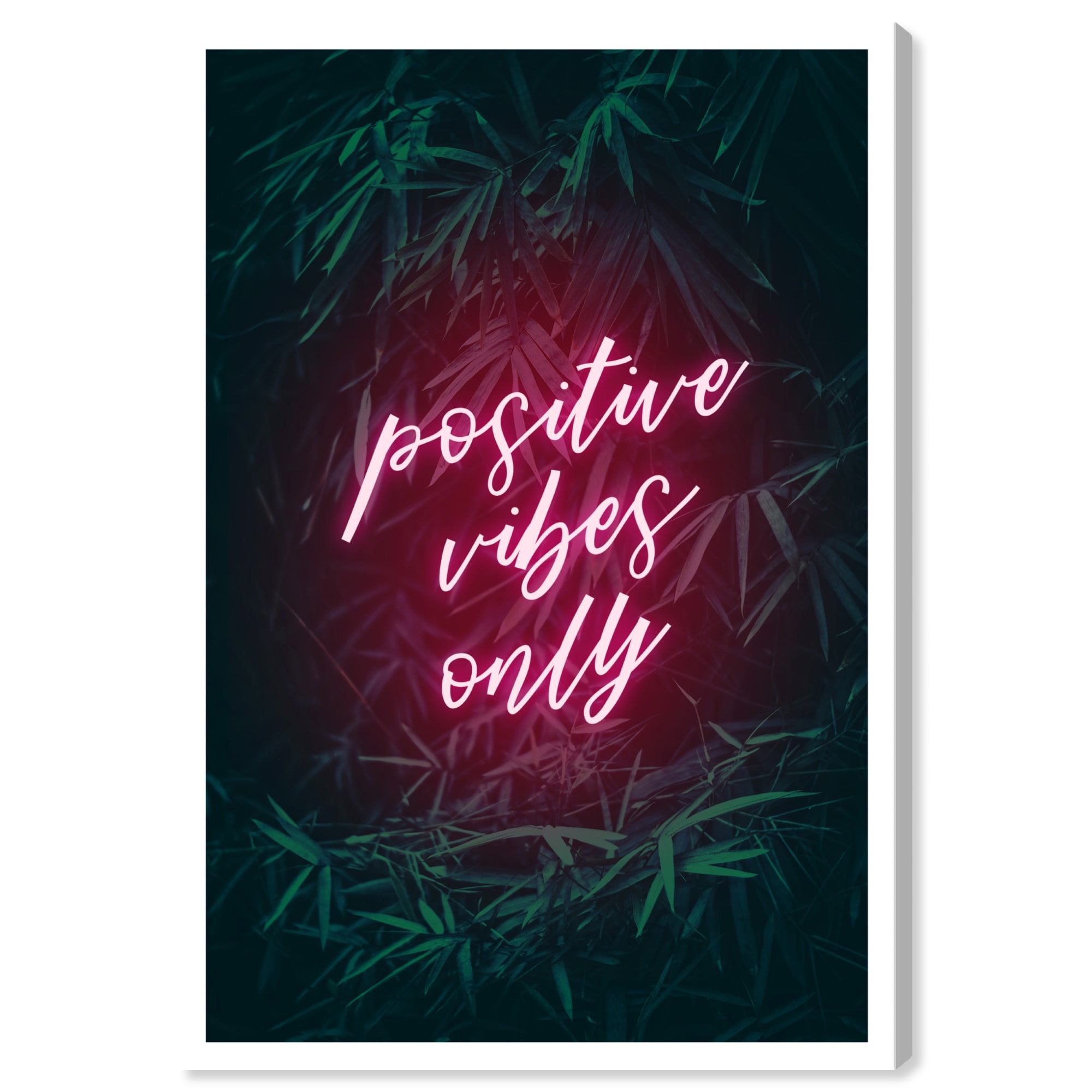 Wynwood Studio 'Positive Vibes Only' Typography and Quotes Wall Art Canvas  Print - Pink, Green, 16\, image size:2000x2000