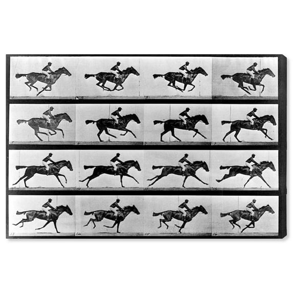 Wynwood Studio Printed Animal & Insects Canvas Art Print