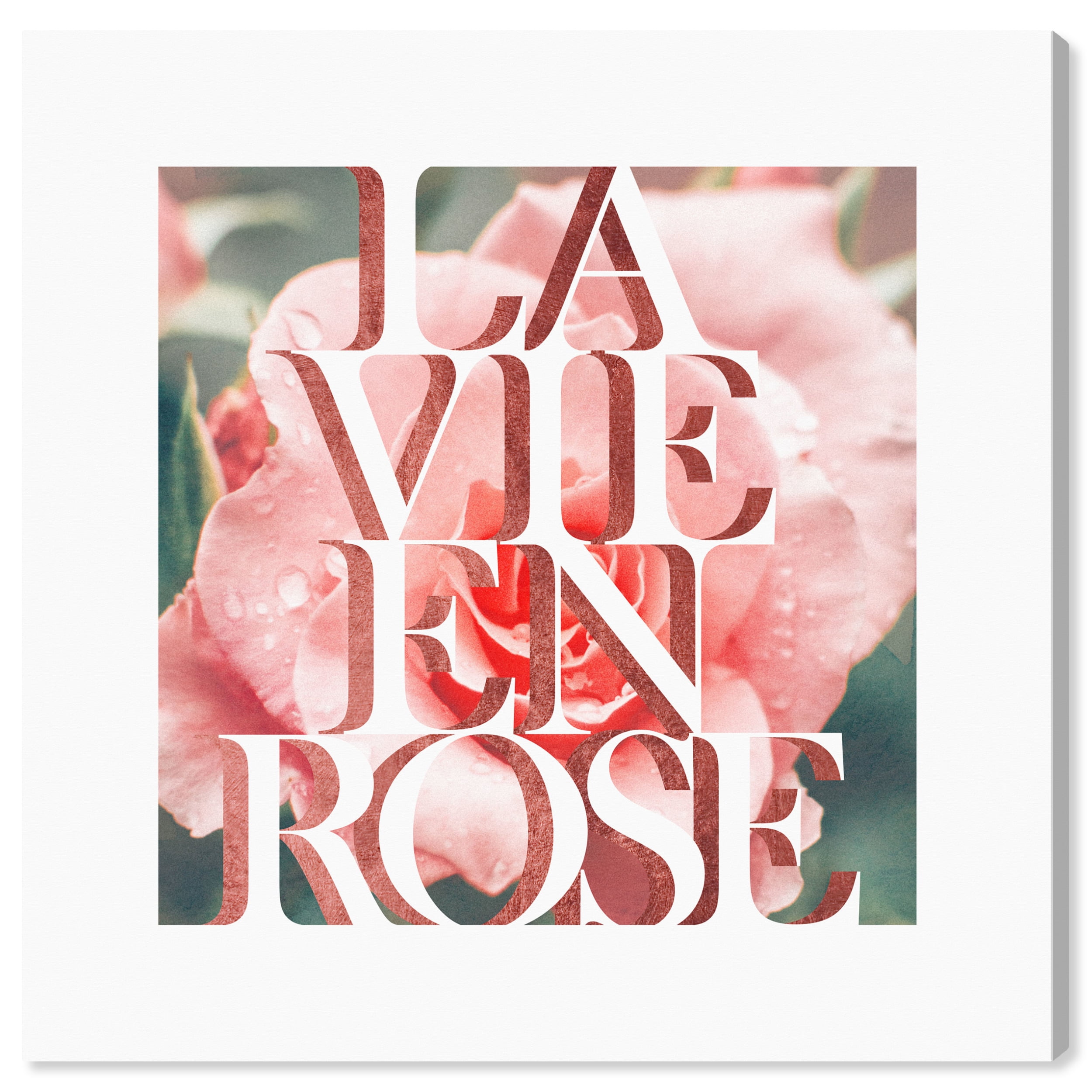 Wynwood Studio Prints La Vie En Rose Photo Typography and Quotes Love Quotes and Sayings Wall Art Canvas Print Pink Pastel Pink 20x20