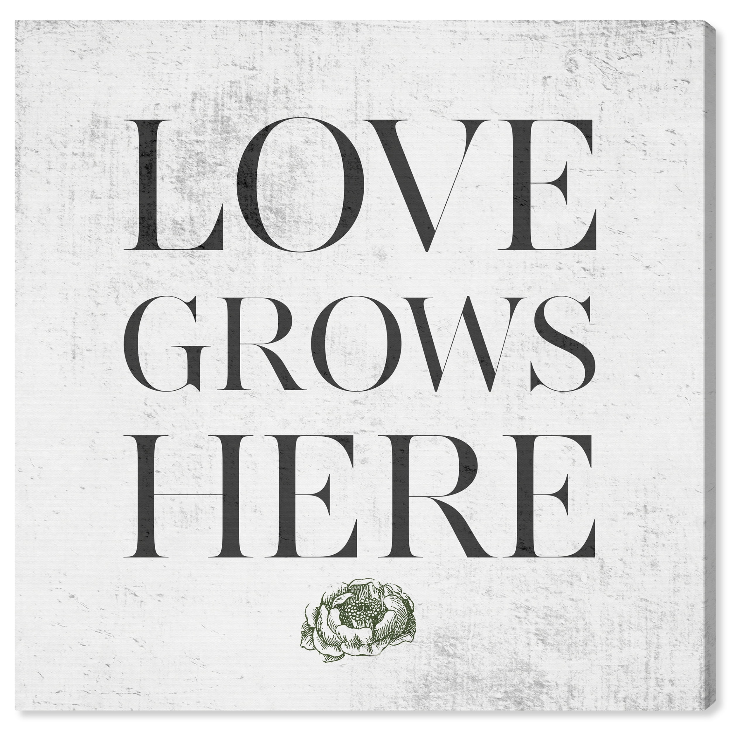 Wynwood Studio Prints Love Grows Here Concrete Typography and Quotes Family Quotes and Sayings Wall Art Canvas Print Gray Dark Gray 12x12