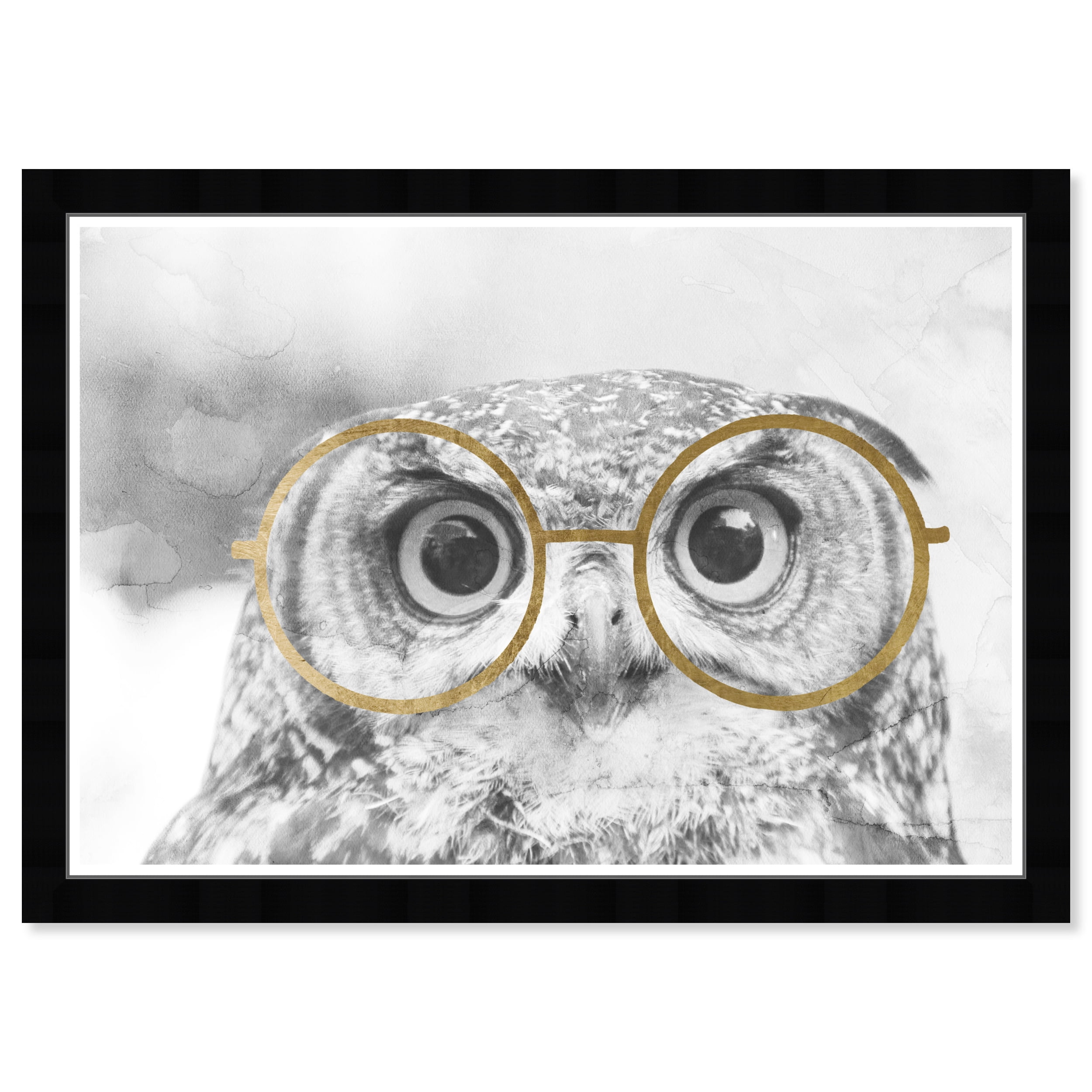 Wynwood Studio Prints Nerdy Owl Animals Birds Wall Art Canvas Print Black Metallic Gold 19x13