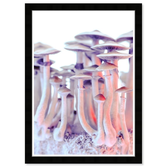 Wynwood Studio Prints Same Type Mushroom Floral and Botanical Botanicals Wall Art Canvas Print Pink Light Pink 13x19