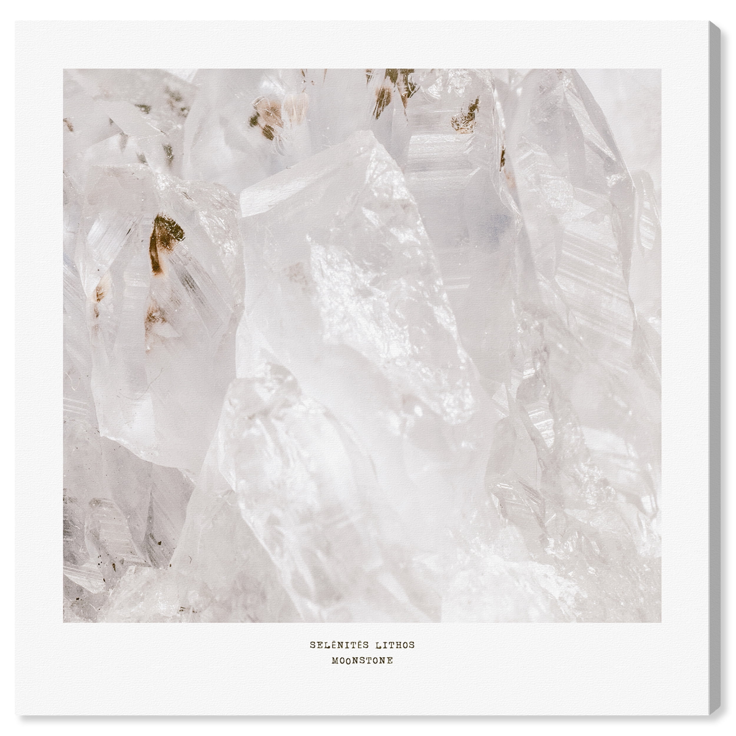 Wynwood Studio Prints Selenite Lithos Abstract Crystals Wall Art Canvas Print White Metallic White 20x20