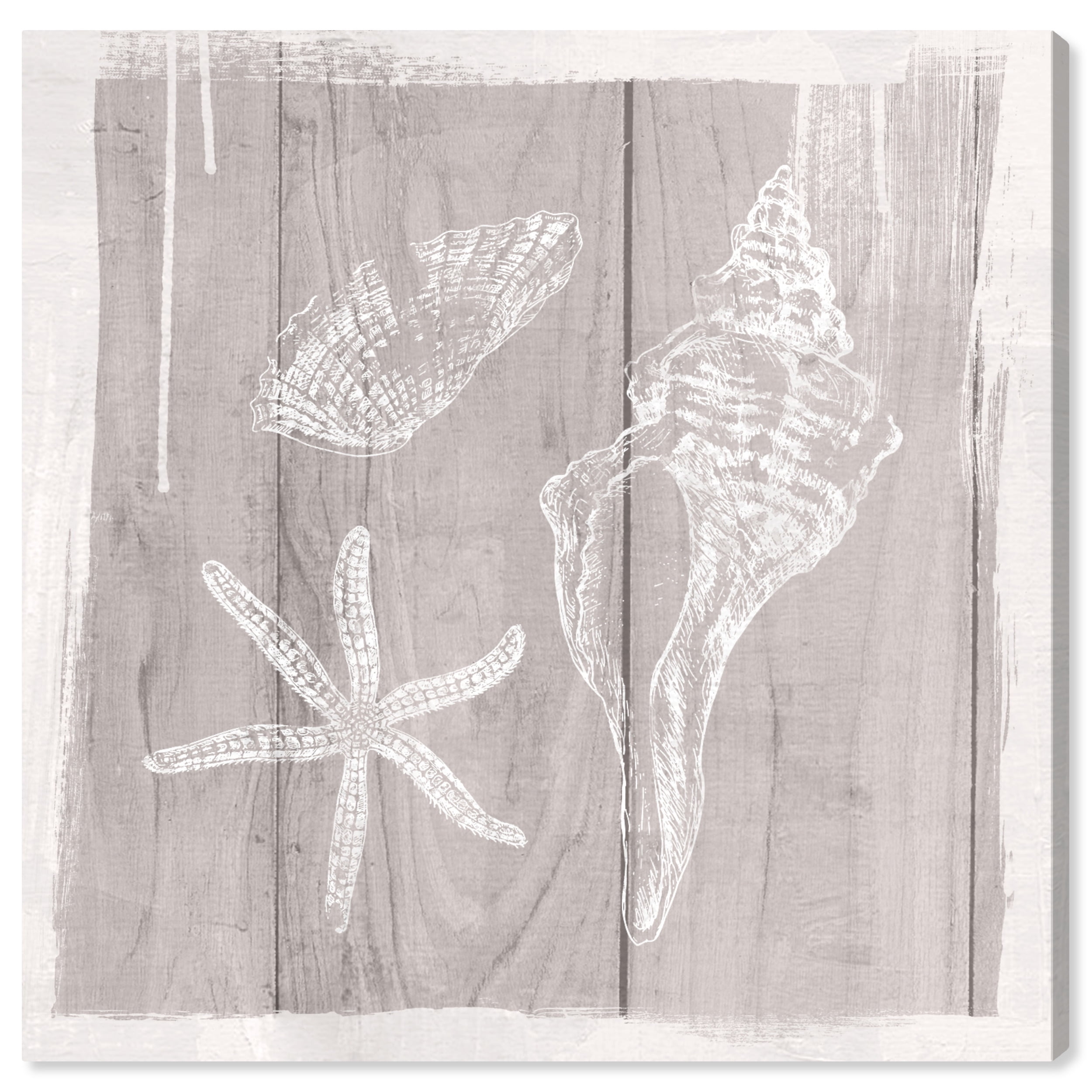 20x20 Light Brown Coastal Marine Life Canvas Wall Art