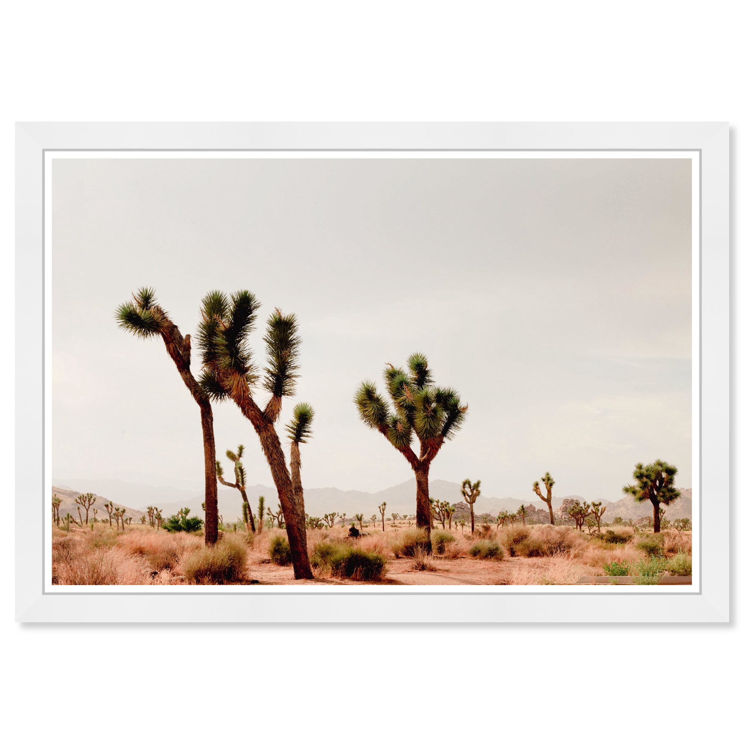 Wynwood Studio Prints Some Earth Tones Nature and Landscape Desert Landscapes Wall Art Canvas Print Green 19x13