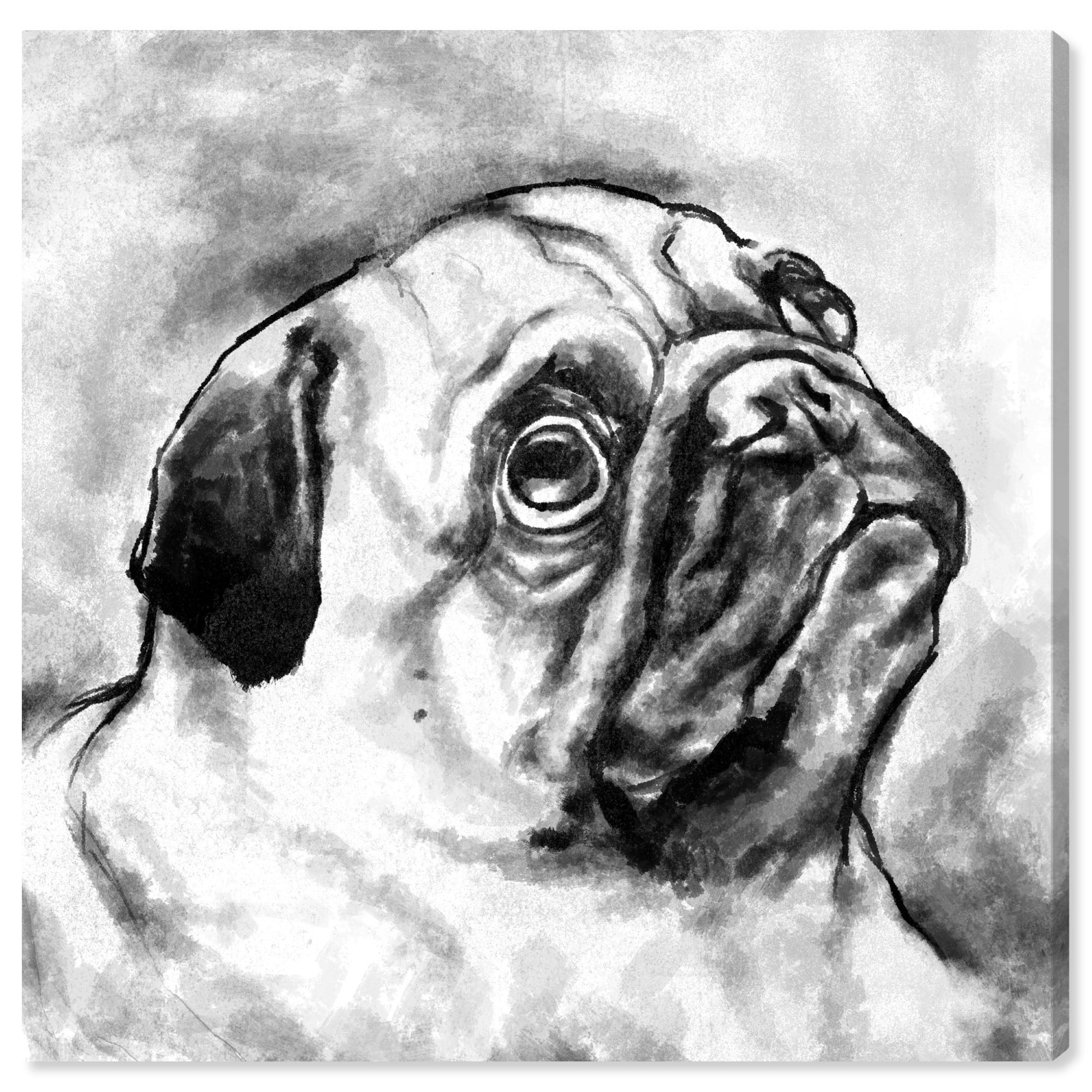 Wynwood Studio 'Pug' Animals Wall Art Canvas Print - Black, White, 30" x 30"