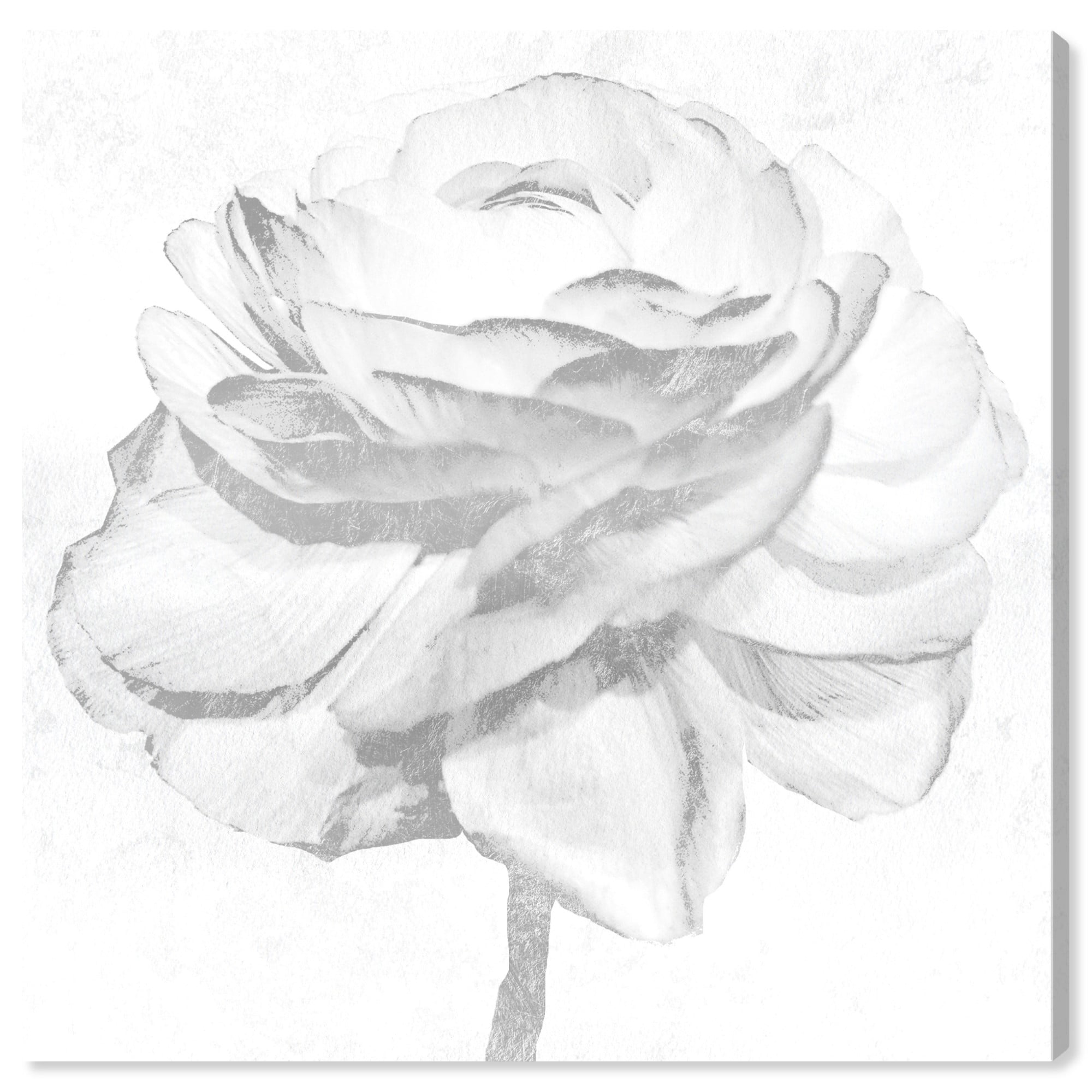 White and Gray Peony Floral Canvas Print, 20" x 20"