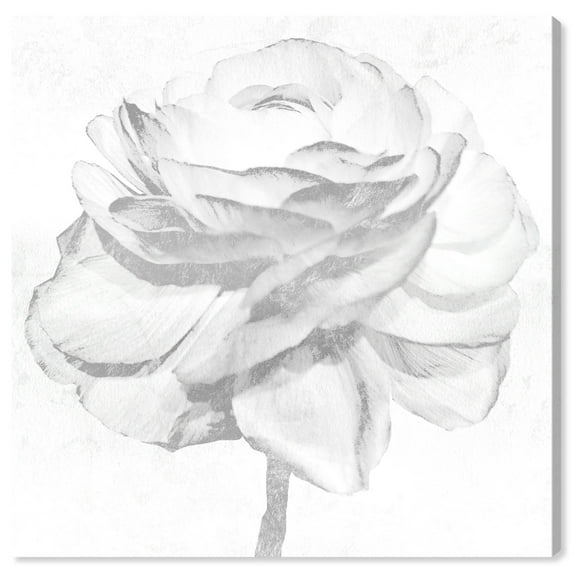 Wynwood Studio 'White Silver Peony' Floral and Botanical Wall Art Canvas Print - White, Gray, 20" x 20"
