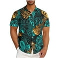 thumbnail image 1 of Wyobmus Hawaiian Shirt for Men Oversized Summer Beach Short Sleeve Lapeled Shirts Casual Button Down Tropical Beach Shirt S-5Xl D-Light Blue, 1 of 5