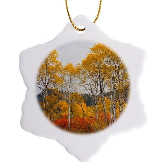 3drose, Wyoming, Grand Teton National Park. Golden Aspen Trees, 3 inch Snowflake Porcelain Ornament