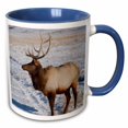 thumbnail image 1 of 3drose, Wyoming, Jackson Hole, Elk Refuge, Elk - Us51 Cmi0048 - Cindy Miller Hopkins, 11oz Two-tone Blue Mug, 1 of 6