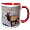 thumbnail image 1 of 3drose, Wyoming, Jackson Hole, Elk Refuge, Elk - Us51 Cmi0048 - Cindy Miller Hopkins, 15oz Two-tone Red Mug, 1 of 6