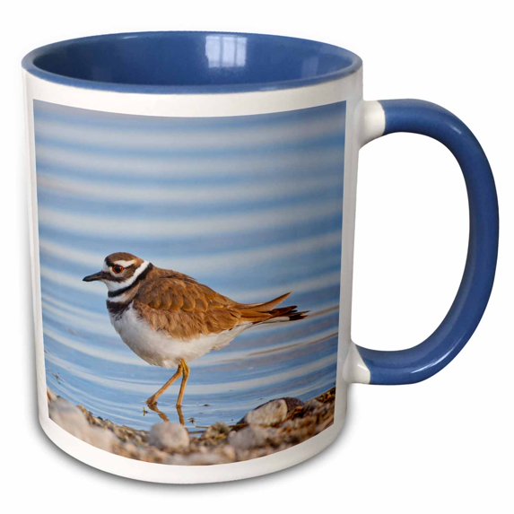 3drose, Wyoming, Killdeer Wading in Pond., 15oz Two-tone Blue Mug
