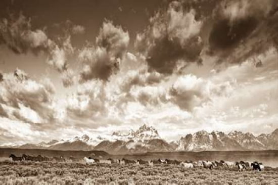 Wyoming Skies Canvas Art - Gary Crandall (12 x 18)