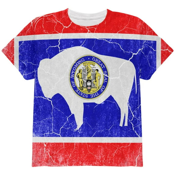 Wyoming Vintage Distressed State Flag All Over Youth T Shirt Multi YMD