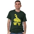 thumbnail image 1 of Wyoming Western Rodeo Rider WY Men's Graphic T Shirt Tees Brisco Brands 2X, 1 of 6