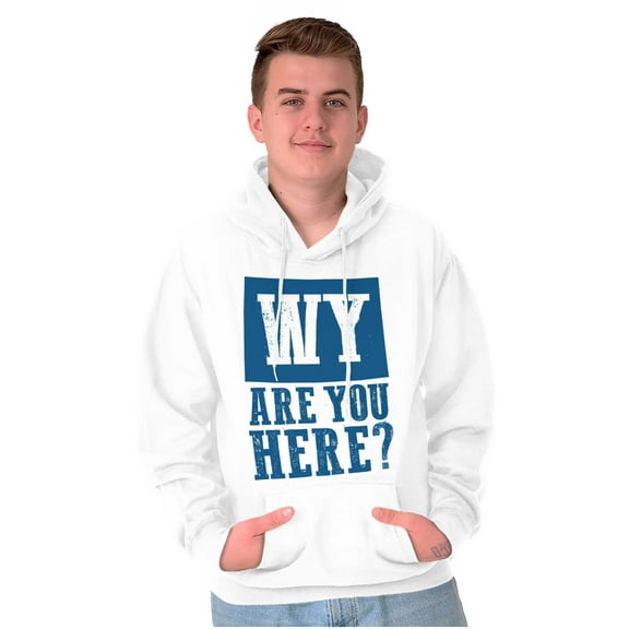 Wyoming Why are You Here Funny Locals Unisex Plus Fleece Graphic Hoodie Brisco Brands 5X
