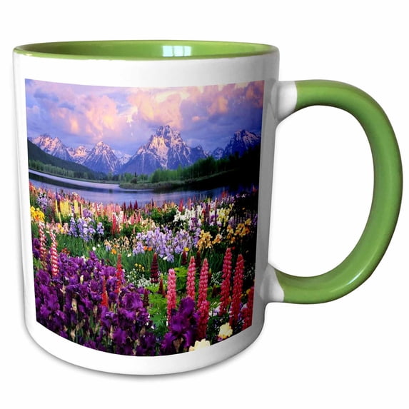 3drose, Wyoming Wildflowers, 11oz Two-tone Green Mug