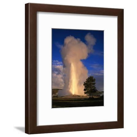 Wyoming, Yellowstone National Park, Old Faithful, Steam and Water Erupting from Thermal Pool, Scenic Framed Art Print Wall Art Sold by Art.Com