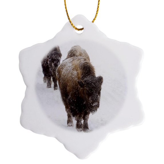 Wyoming, Yellowstone Np, American Bison - Us51 Rti0047 - Rob Tilley, 3 inch Snowflake Porcelain Ornament