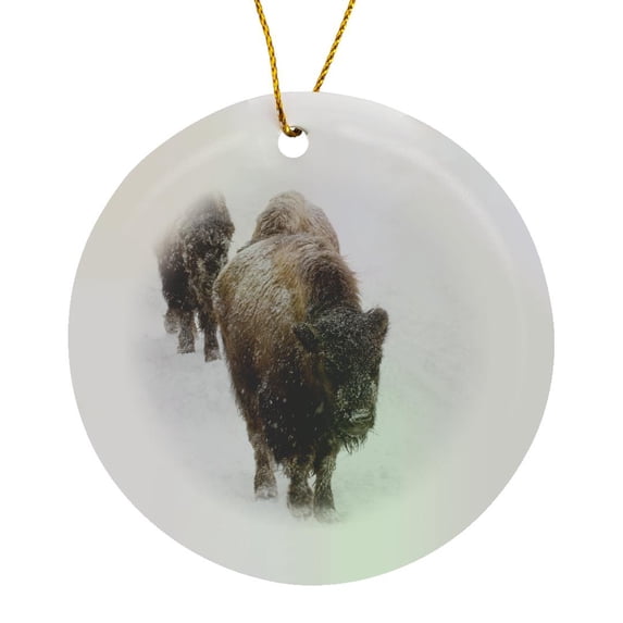 Wyoming, Yellowstone Np, American Bison - Us51 Rti0047 - Rob Tilley, Circle Porcelain Ornament