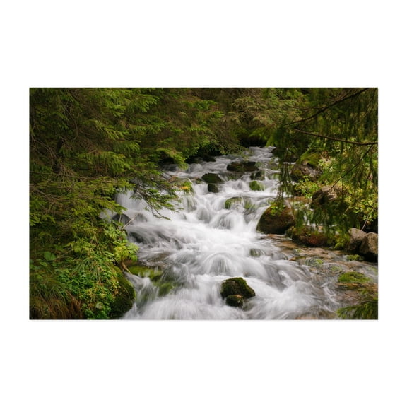 Wywierzysko Olczyskie, Zakopane - Zakopane Małopolskie Poland Photography Nature Forest Waterfall Landscape Scenic Mountain Botanical Unframed Wall Art Print 4 x 6 inches